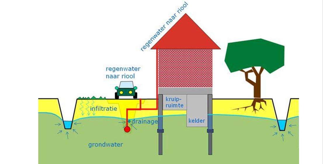 Bekijk zelf de grondwaterstand in uw buurt