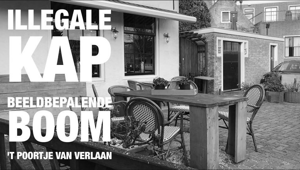 “GroenLinks Rijswijk: illegale bomenkap Mallegat