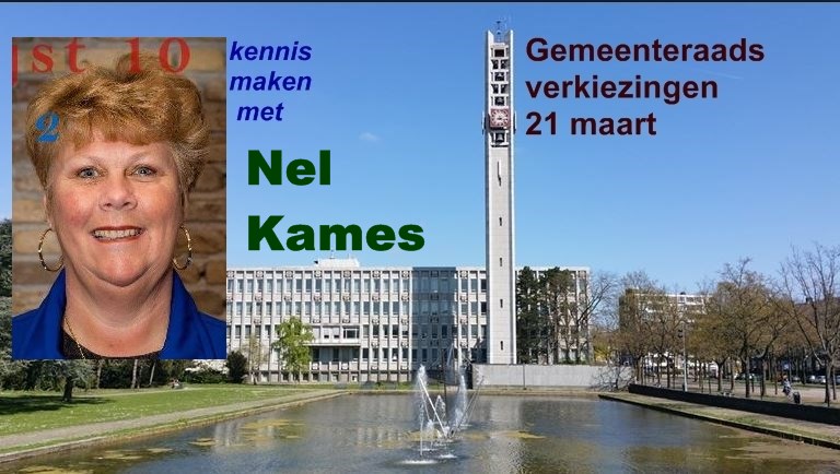 Nel Kames: Eén parkeervergunning voor heel Rijswijk