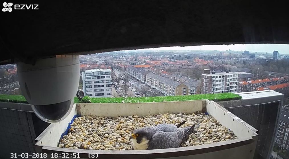 Comfortabel penthouse met wijds uitzicht