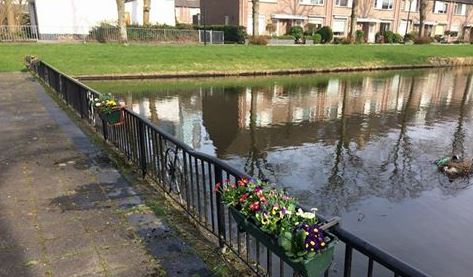 Kleurrijk terras aan het water