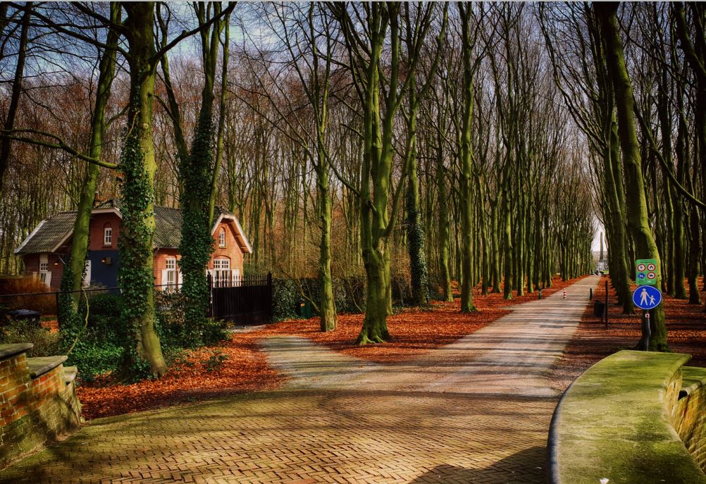 Rijswijk in beeld