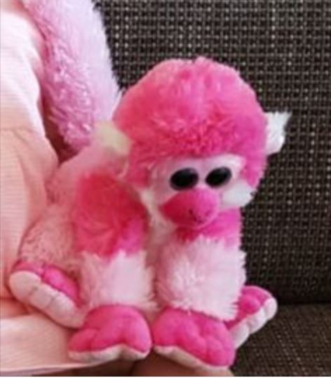 Wie heeft knuffelaapje gevonden in de Bogaard (delen)
