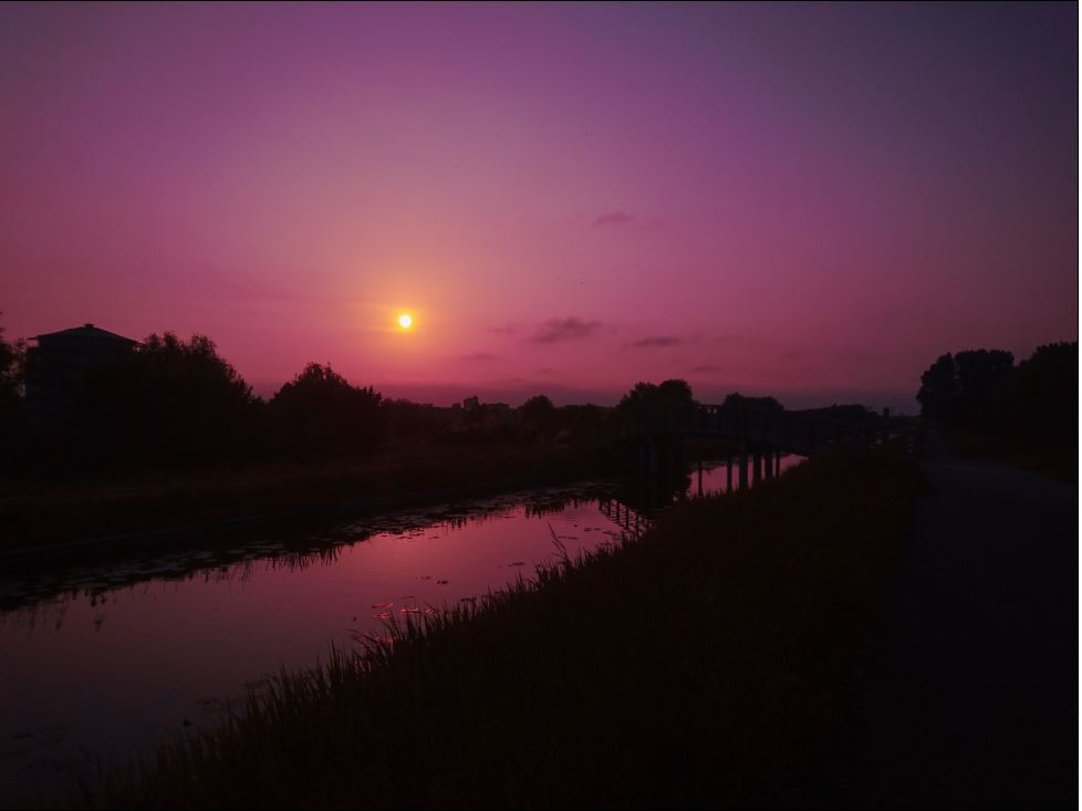 Rijswijkse Hoekpolder in de avond