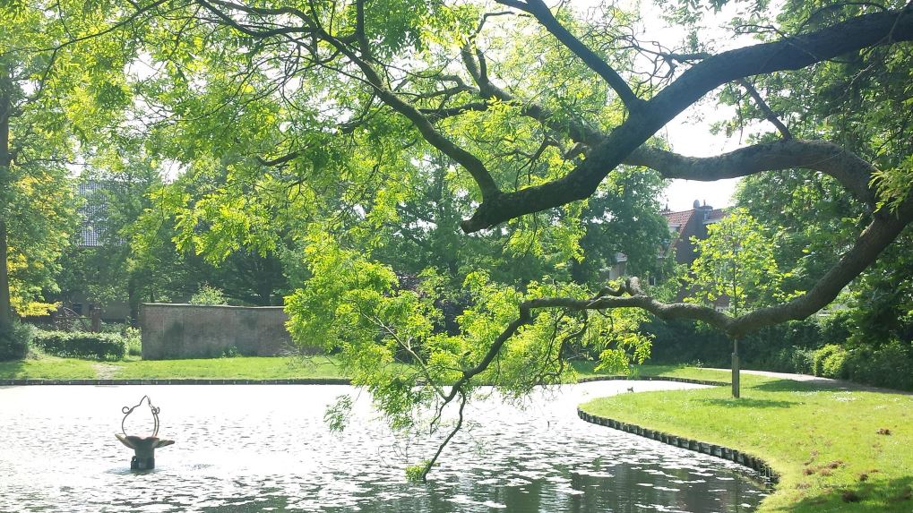 Wijkpark Cromvliet, mooi stukje natuur