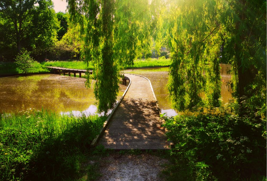De brug nu met de lente