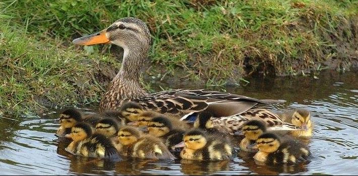 Wat is moeder natuur toch mooi !
