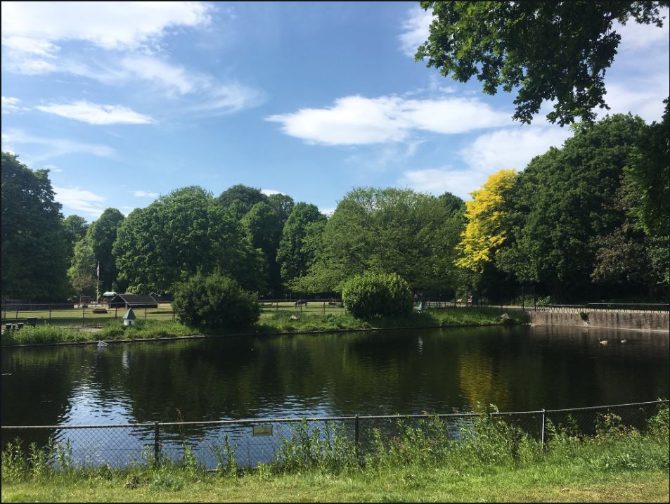 Rijswijk, wat ben je toch mooi
