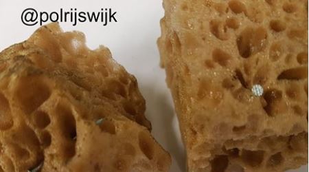 Opnieuw gebakken spons gevonden in Rijswijk