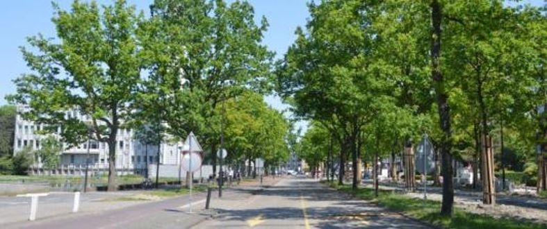 Afsluiting noordelijke rijbaan Generaal Spoorlaan