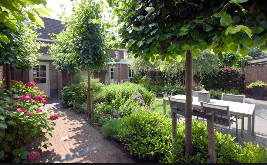 Groene oplossingen in de tuin in RijswijkBuiten