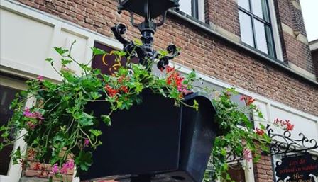 Winkeliers Oud Rijswijk zetten bloemetjes buiten….