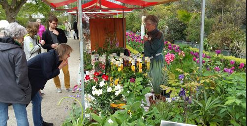 Rijswijkse Groene Markt op De Schoffel