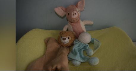 Knuffeltje verloren in Oud Rijswijk