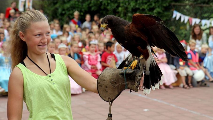 Roofvogelshow op Kasteel Te Werve