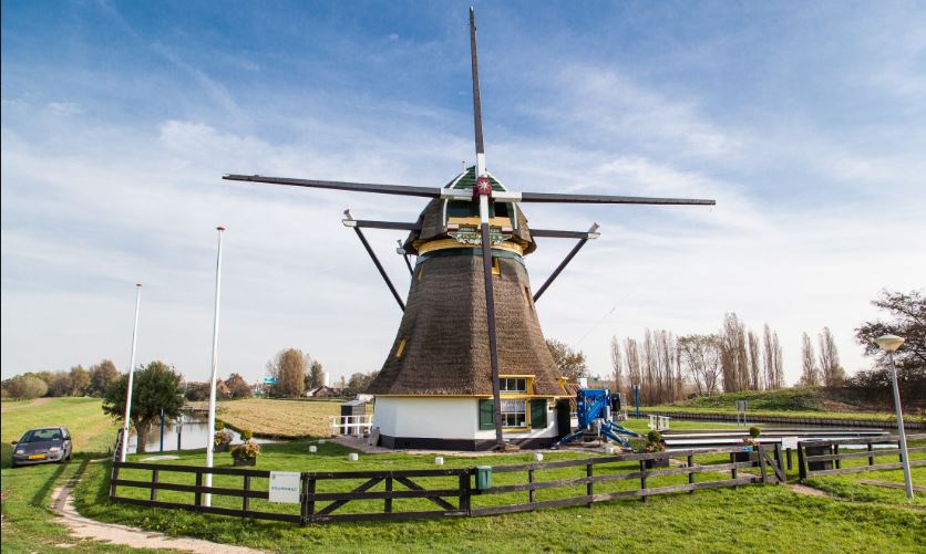 Molendag ook voor de Rijswijkse Schaapweimolen