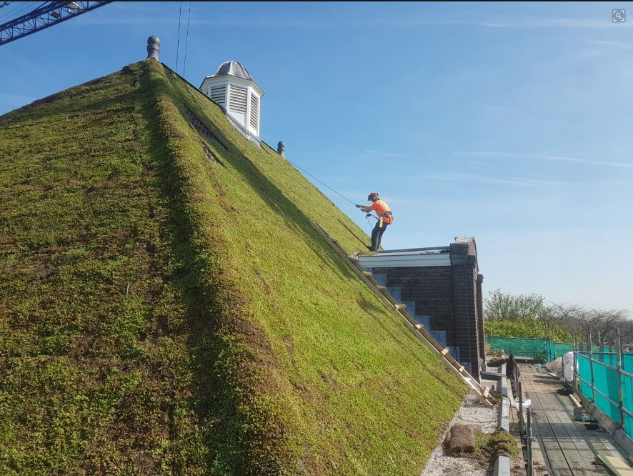Grootste hellende groendak van Europa in Rijswijk