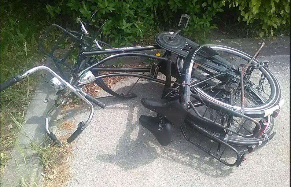 Weesfietsen vervuilen Rijswijk