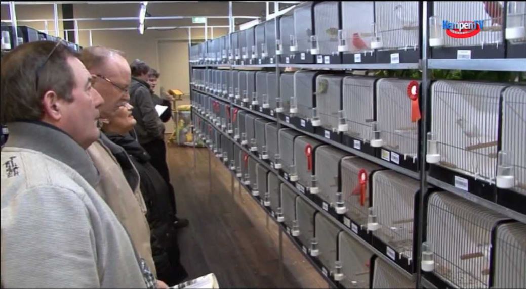 Geen plaats voor Rijswijkse vereniging in Rijswijk