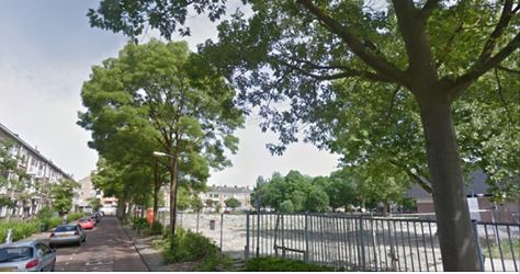 Rembrandtkwartier start petitie tegen kap 36 bomen