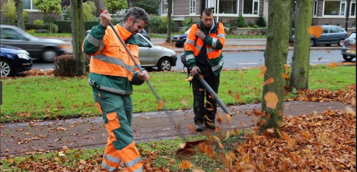 Aandacht voor kwetsbare DSW’ers bij vele veranderingen