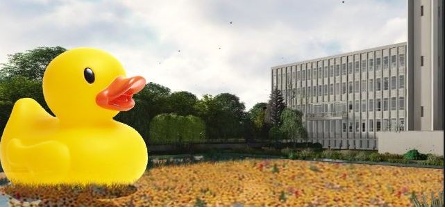 Rijswijkse eendjesrace in de Stadhuisvijver 
