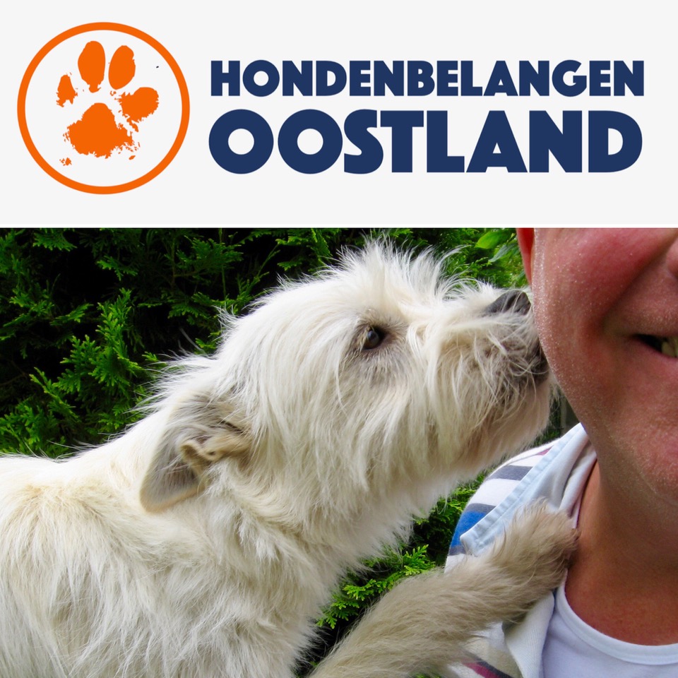 Positief Hondenbeleid