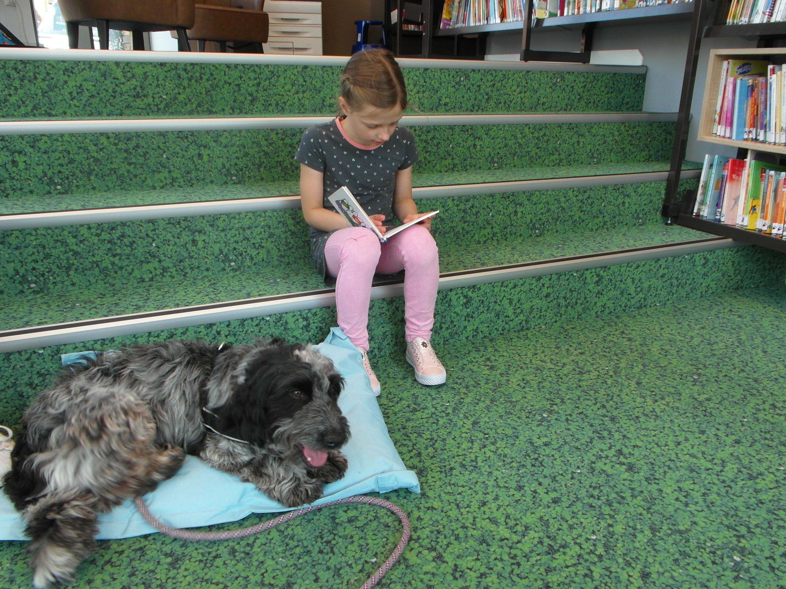 Voorleeshond helpt kinderen beter lezen Voorleeshond helpt kinderen beter lezen