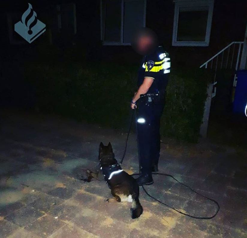 Inbrekers aangehouden dankzij oplettende getuige