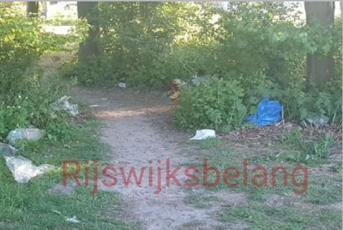 Rijswijks Belang zoekt steun voor schoner Wilhelminapark