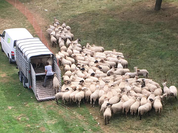Te vinden in Pijnacker en Rijswijk