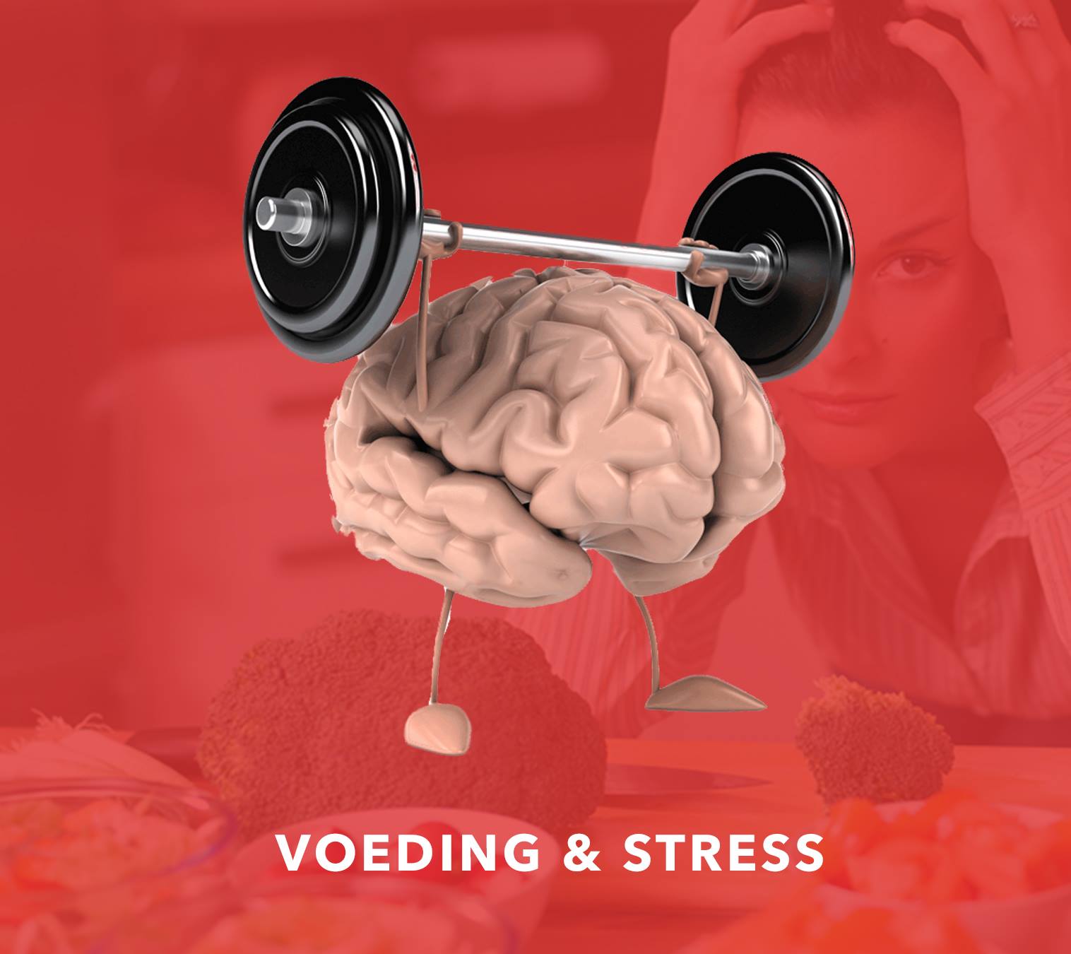 De Viergang fitness is opzoek
