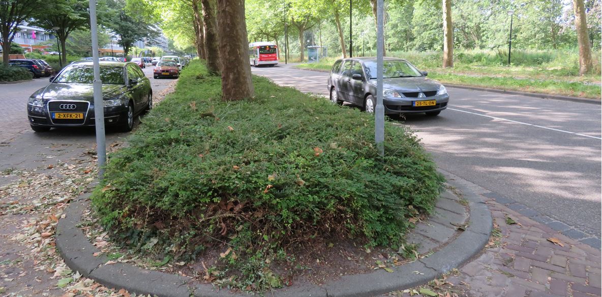 Gemeente reageert snel op vraag inwoner