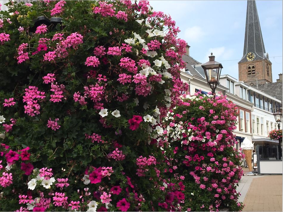 Kleurige bloemenpracht in Herenstraat