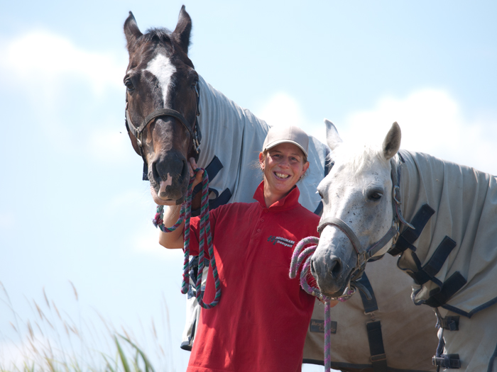 Paarden aan de wandel vandaag