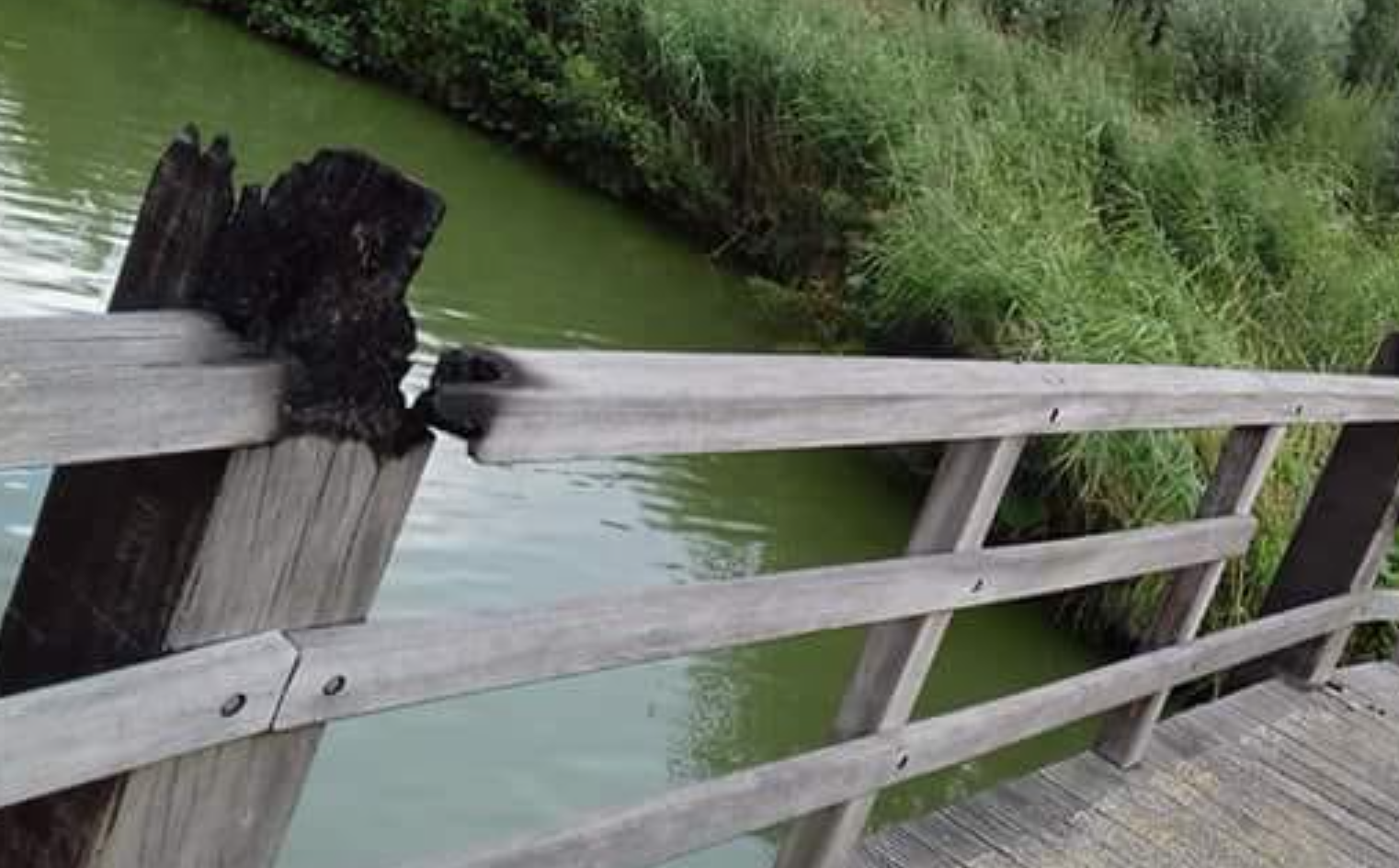 Brug Wilhelminapark in brand gestoken