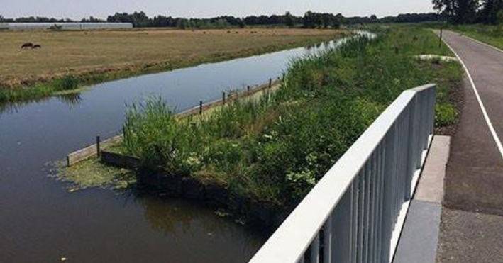 Officiële opening fietspaden en bergboezem Zuidpolder van Delfgauw