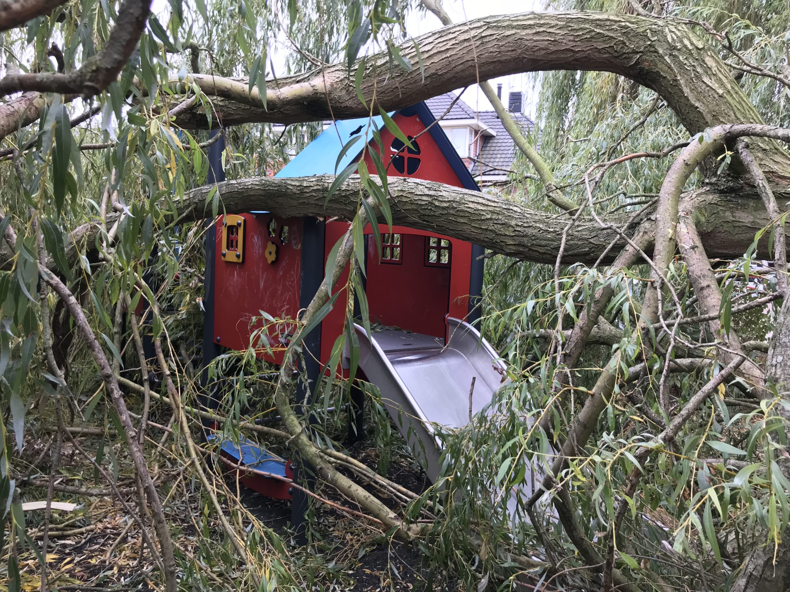 [VIDEO] Tak van honderd jaar oude boom valt op speeltuin