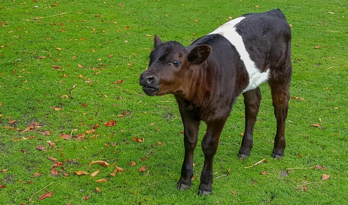 Dochter Aukje is alweer een maand