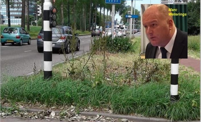 Groenonderhoud verhogen naar 6 x per jaar