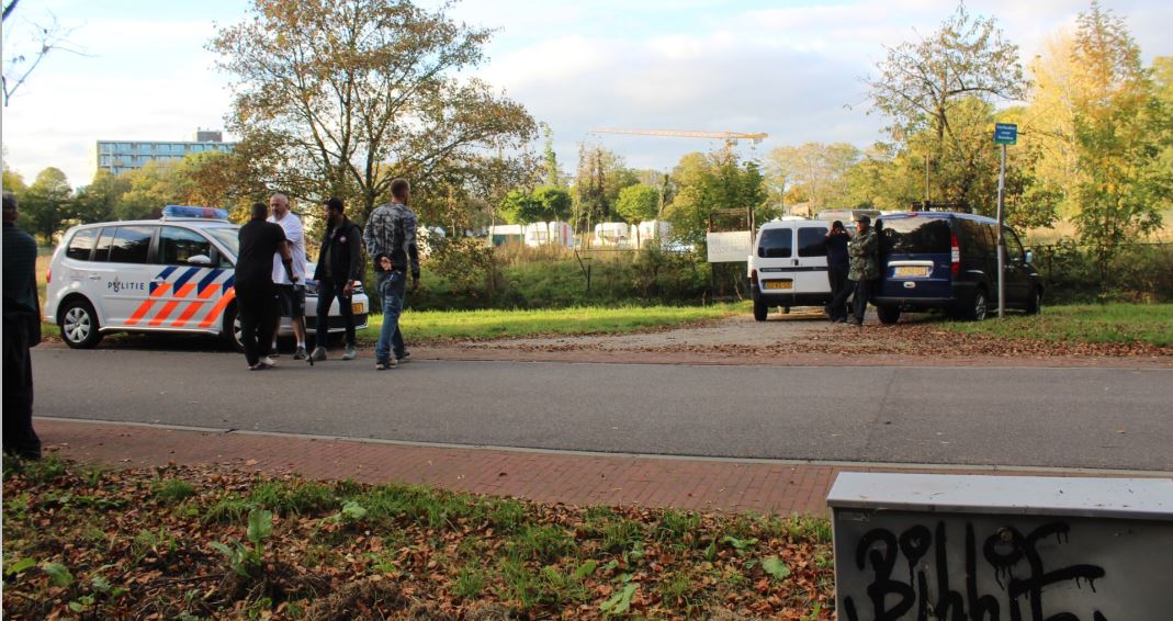 AKTUEEL: Kampkrakers strijken neer in Rijswijk