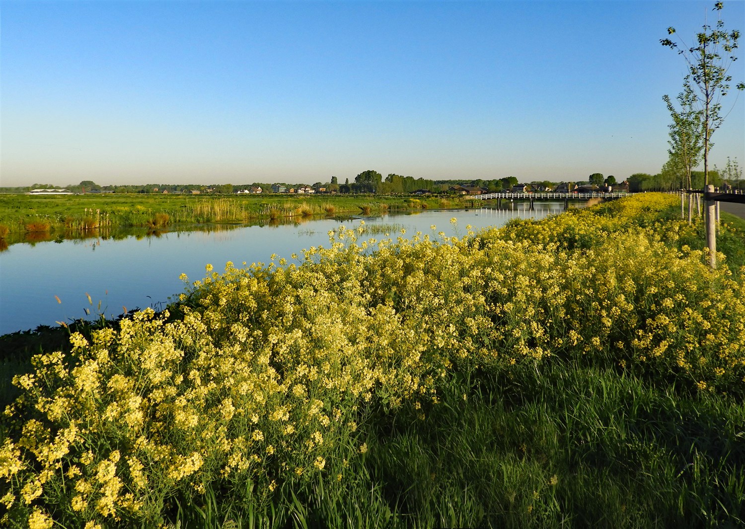 Derde Natuurwerkdag in De Groenzoom