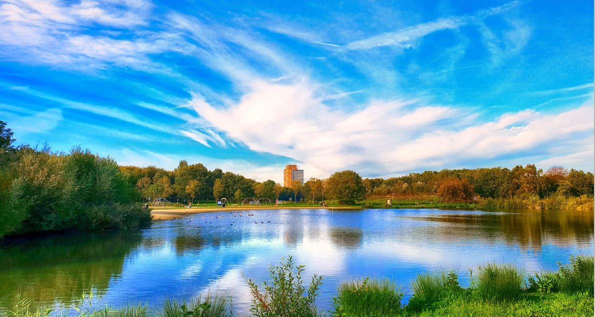 Nog mooi zonnetje boven het Wilhelminapark