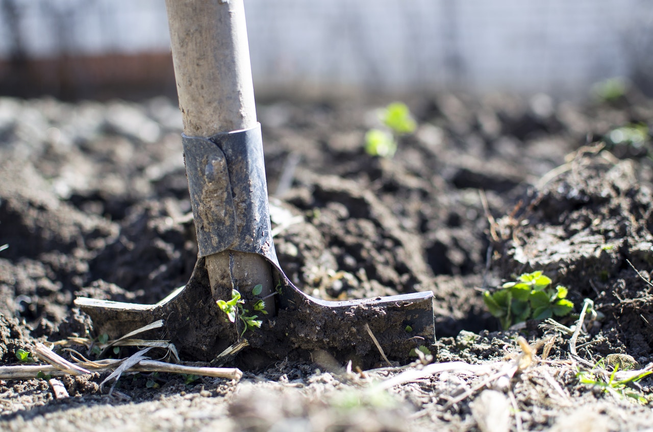 Plantdagen Bijenbos door KNNV Delfland