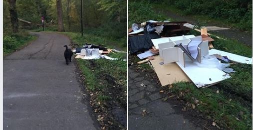 Opnieuw afval gedumpt in Park Overvoorde