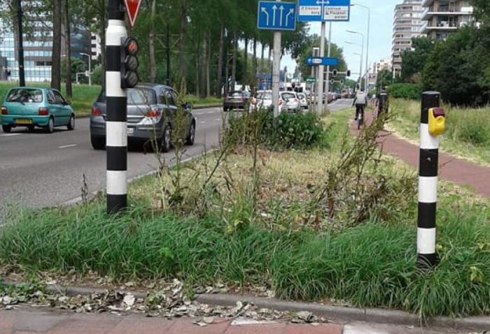 Lokale partijen willen beter onderhoud openbaar groen