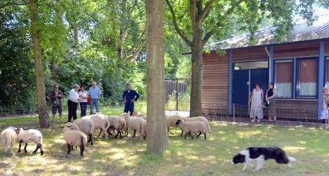 Smeltkroes wordt ontmoetingspek voor de Muziekbuurt
