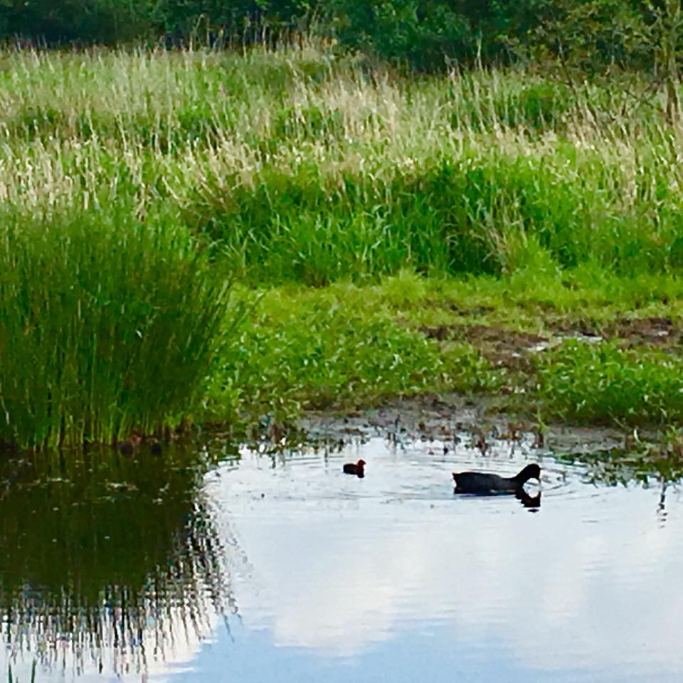 Groene voornemens wandeling Balij