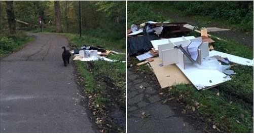 Steenvoorde Noord is dumpen afval in park zat