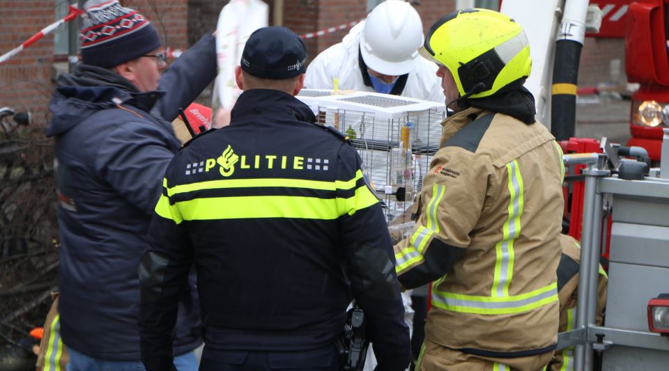 Brandweer redt nog zingende papegaaien uit puinhopen